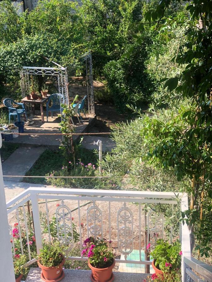 Hotel Fori Vodo Divjaka Zewnętrze zdjęcie